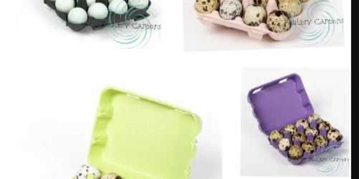 The Growing Demand for Egg Cartons in Bulk