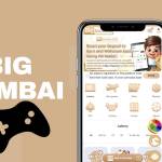 Big Mumbai Login