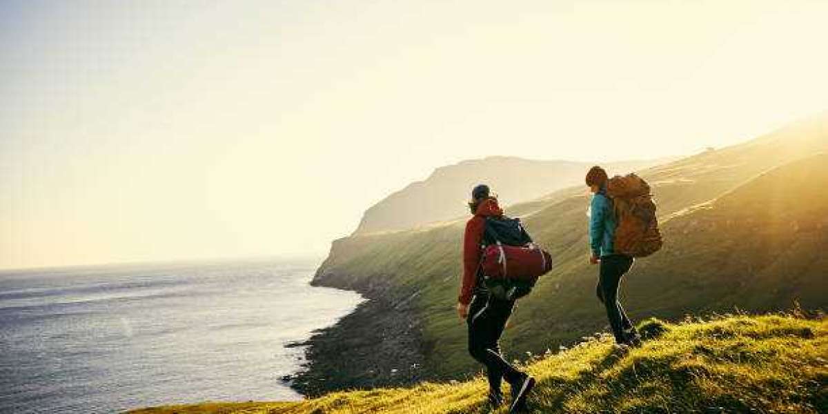 Hiking Tours: Discover the Wild Side of Travel