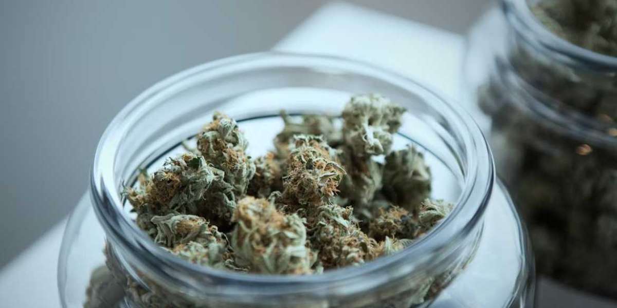 Shop Cannabis 21 – A Reliable Dispensary Near Me in Grays Harbor