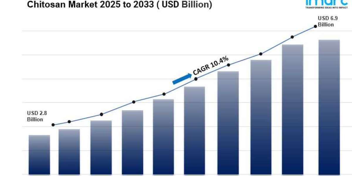 Chitosan Market Size, Share And Forecast Report 2025-2033