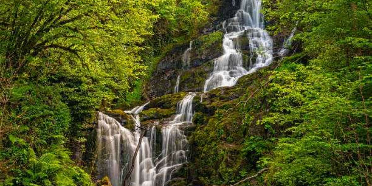 A Photographer’s Guide to Ireland Through the Seasons