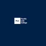 plvan Profile Picture