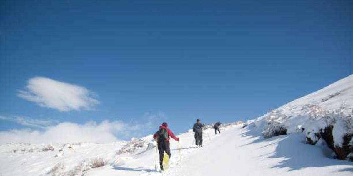 Adventure Travel in Lebanon: Skiing, Paragliding, and More