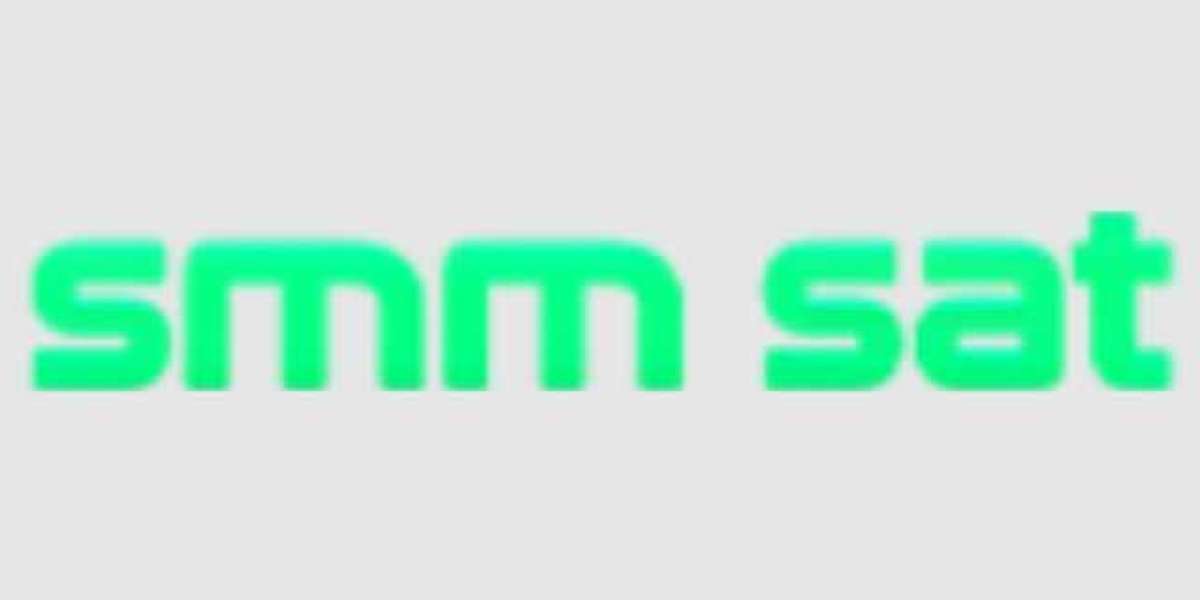 Entrega Rapida SMM Panel: Domina las Redes al Instante