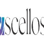 Ascellos