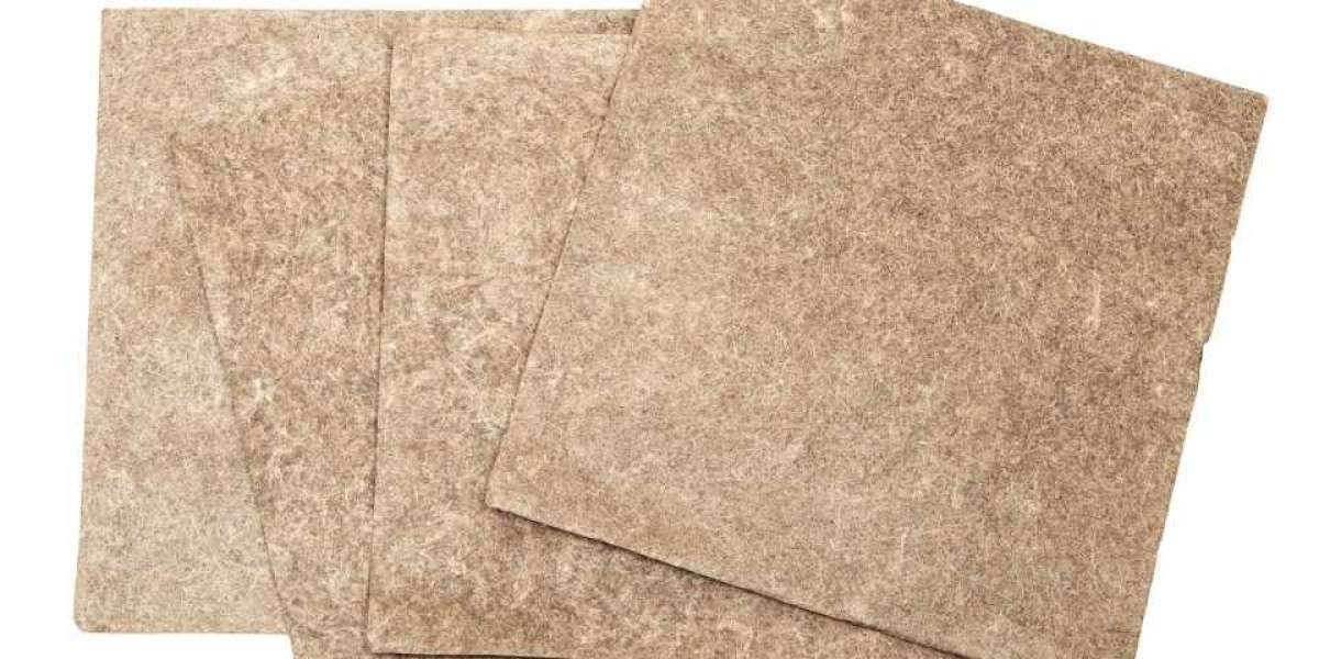 Banana Paper Manufacturing Plant Project Report 2025: Materials Cost and Requirements