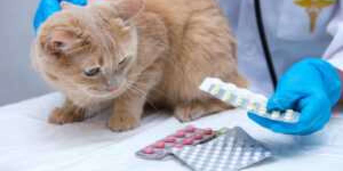 Understanding MoCRA: FDA Cosmetic Registration Essentials