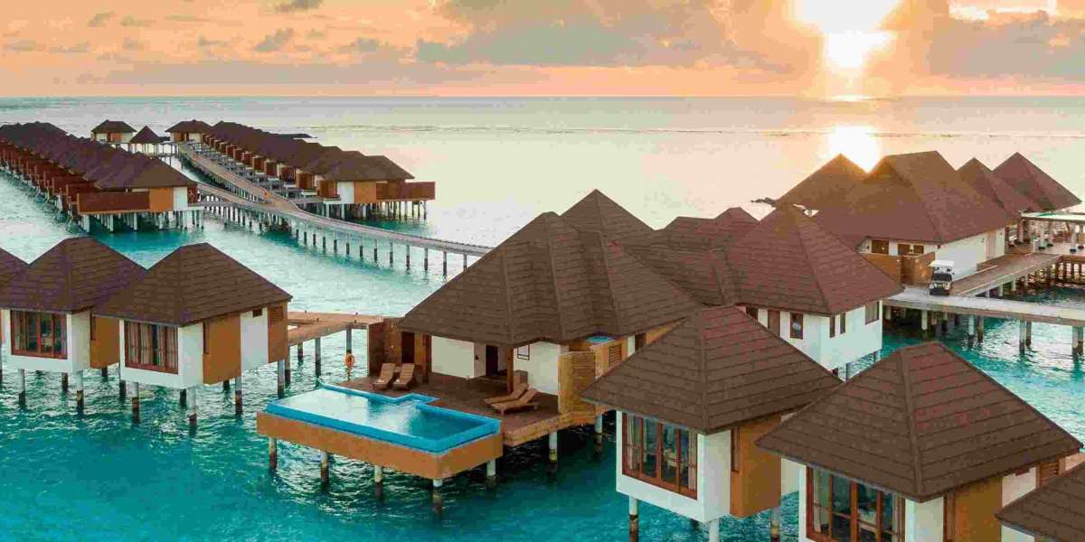 Utilize Customized Holiday Packages to Travel the World the Way You Desire to