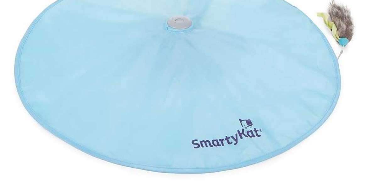 SmartyKat Hot Pursuit A Game-Changer for Your Pet