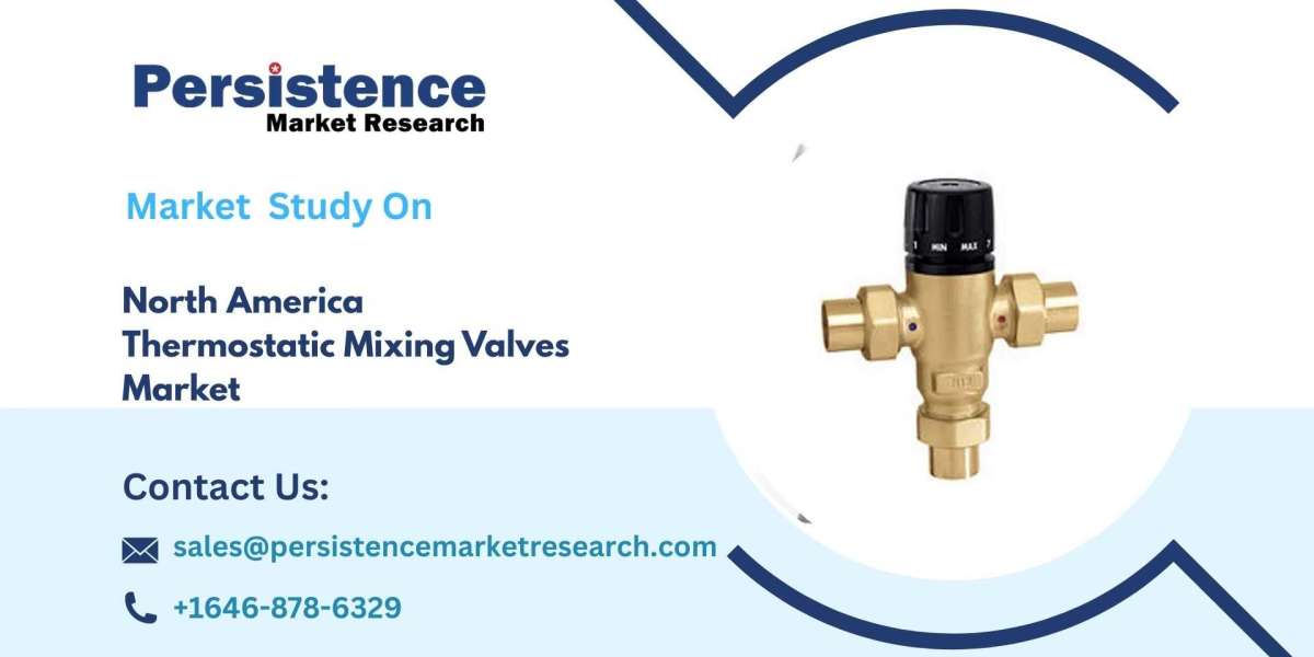 North America Thermostatic Mixing Valves Market, Innovations, Growth Drivers, and Strategic Opportunities