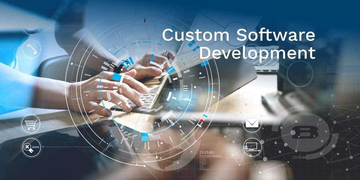 Best Custom Software Development in Lucknow