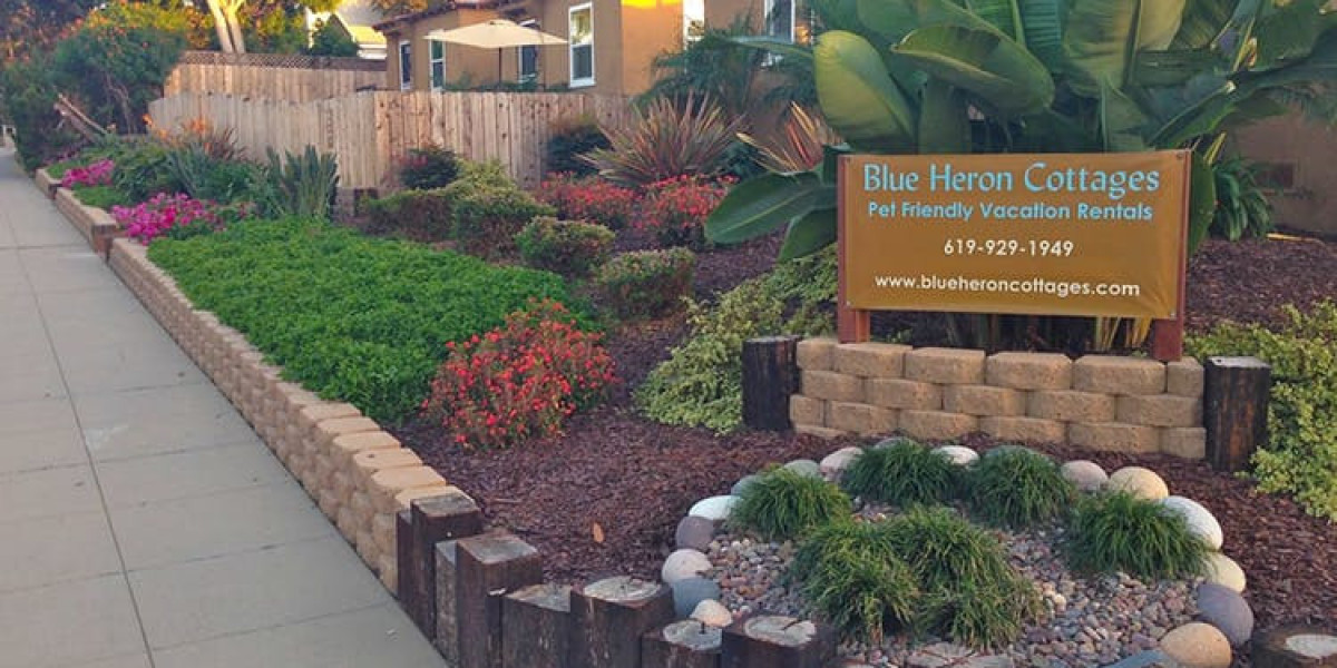 Stay, Play, and Paws: Discover Best San Diego Pet-Friendly Accommodations at Blue Heron