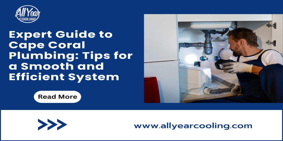 Expert Guide to Cape Coral Plumbing: Tips for a Smooth and Efficient System