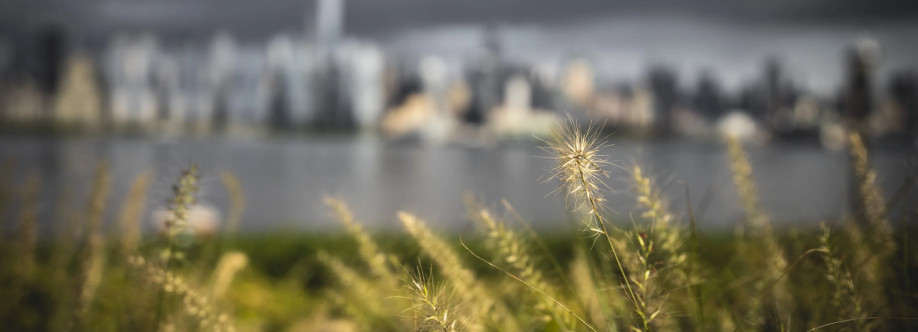 PX Photography Cover Image