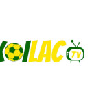 maniffesto com fake website