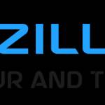 zillion tour and travels