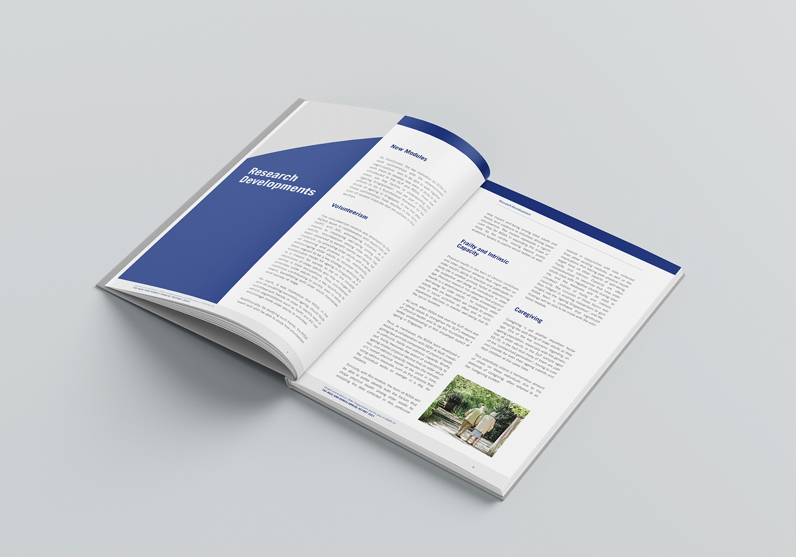 Professional Annual Report Design Services in Singapore | Alivea