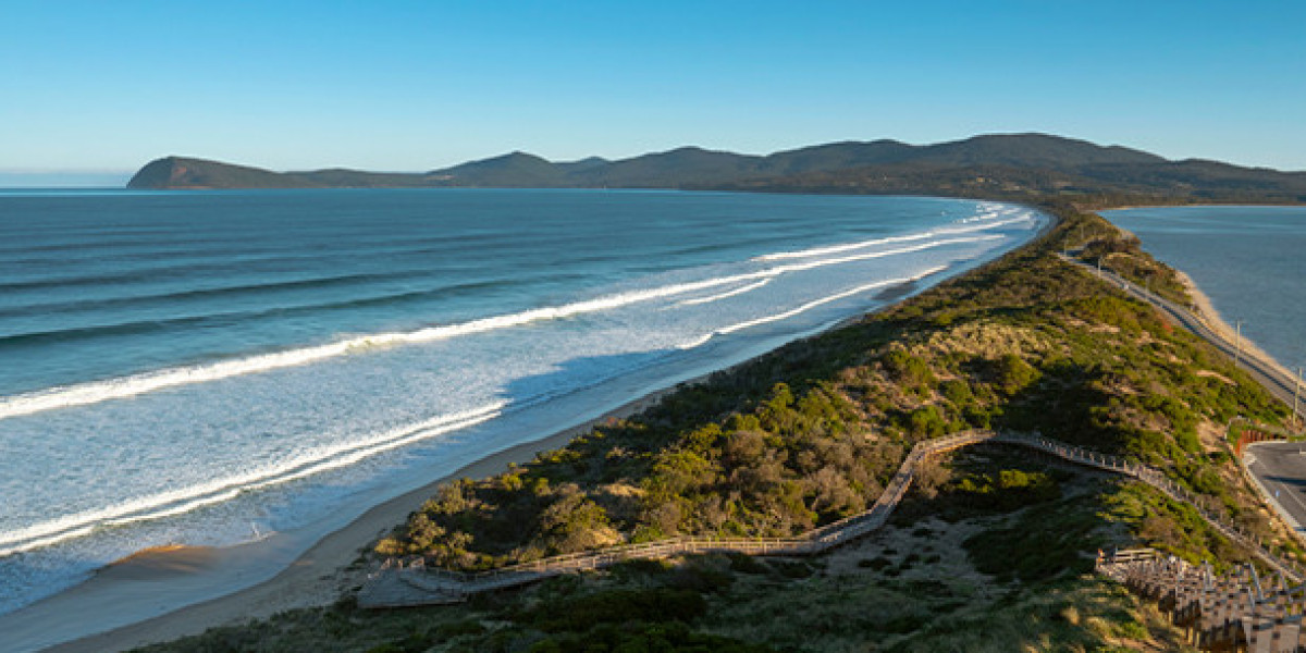 Bruny Cruises: The Ultimate Way to Explore Tasmania’s Wild Coastline
