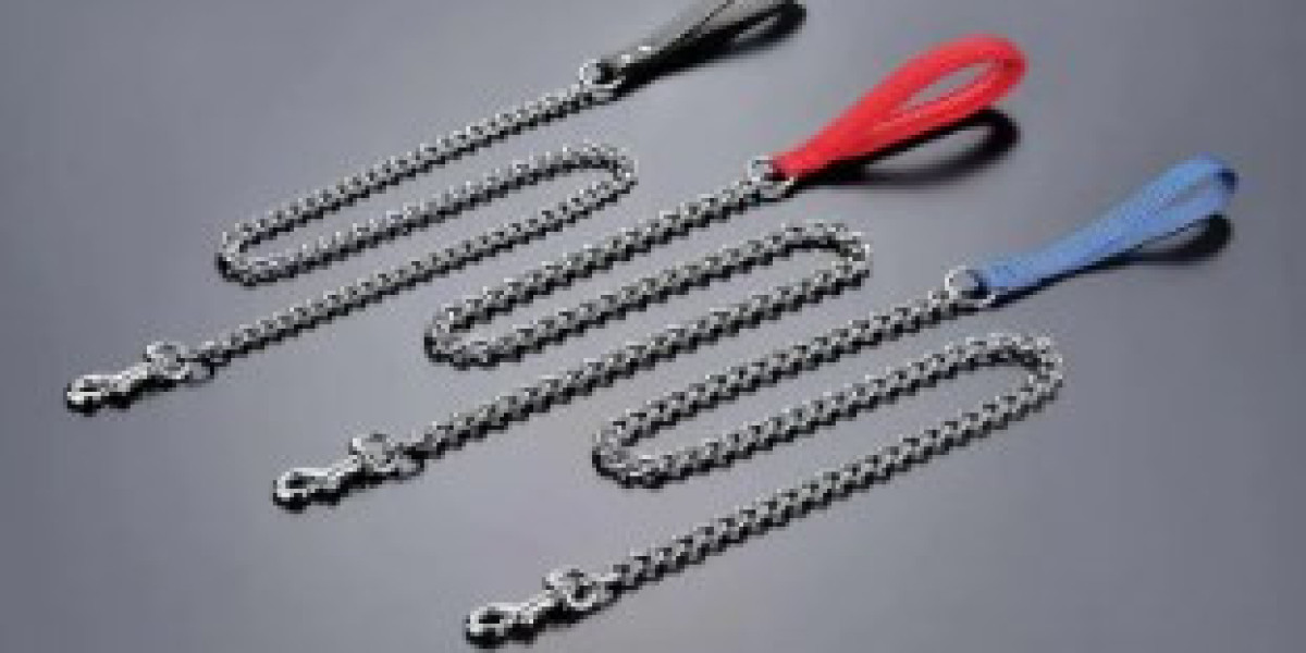 Let Your Dog Explore—Without Losing Control