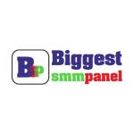 biggestsmmpanel