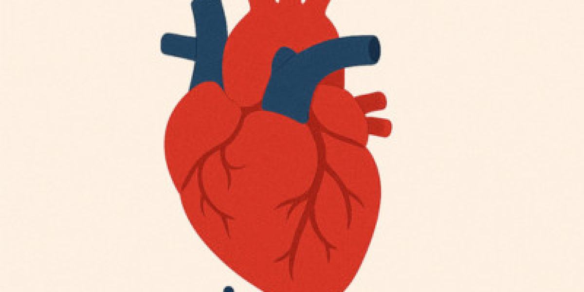 The Importance of Consulting a Cardiologist for High Blood Pressure