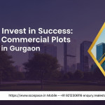 indianpropertyoptions