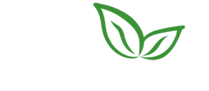 Organic Chilli | Wholesale Chillies | Uganda Chilli Exporter