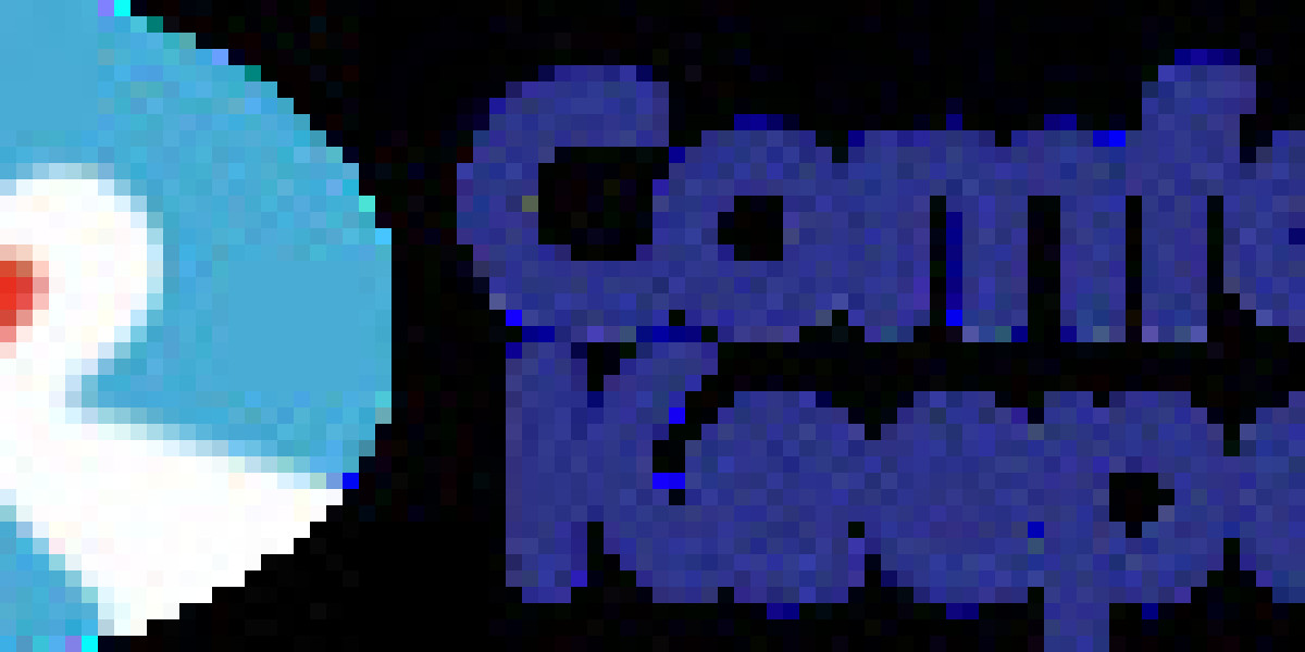 Comfort Keepers Tampa – Compassionate Home Health Care in Tampa FL for Your Loved Ones