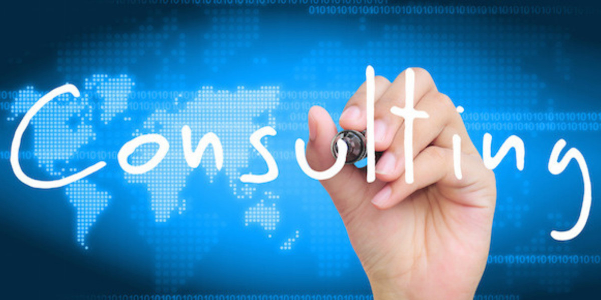 Navigating Professional Growth With Expert Guidance