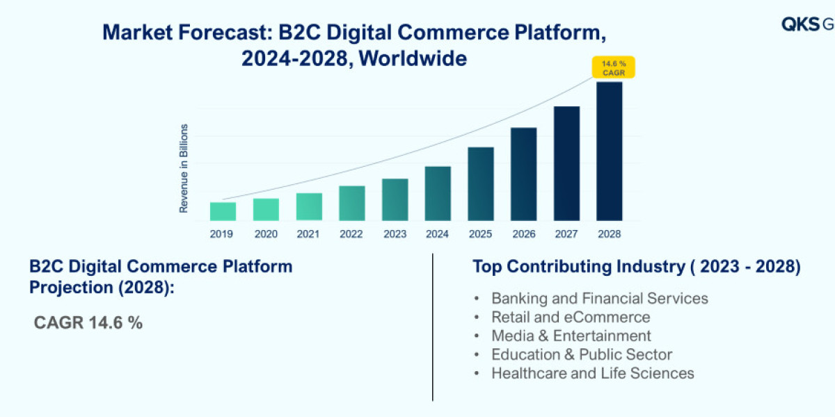 B2C Digital Commerce Platform (DCP) Market: Powering Seamless Online Customer Experiences