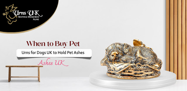 When to Buy Pet Urns for Dogs UK to Hold Pet Ashes