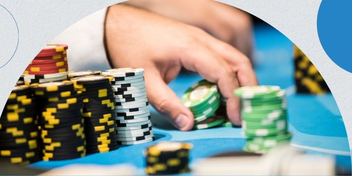 11xplay is an online sports and gaming platform