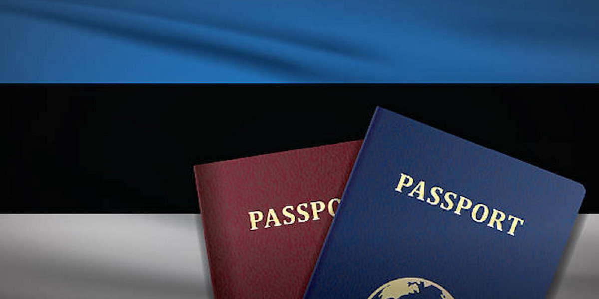 Estonia Visa Guide 2025: Everything You Need to Know