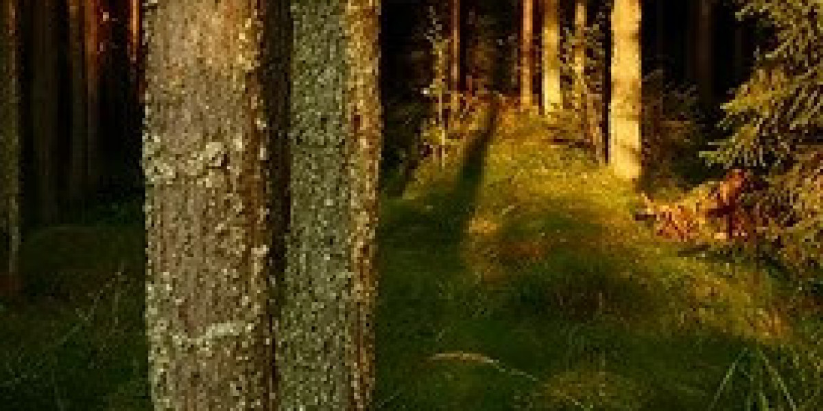 The Role of Attachment and Safety in Nervous System Regulation