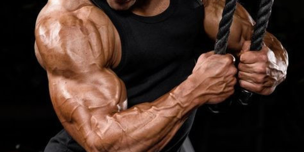 Best Testosterone Booster For Men: 5 Dumb Mistakes I Made with Best Testosterone Booster For Men Supplements’s (So You D