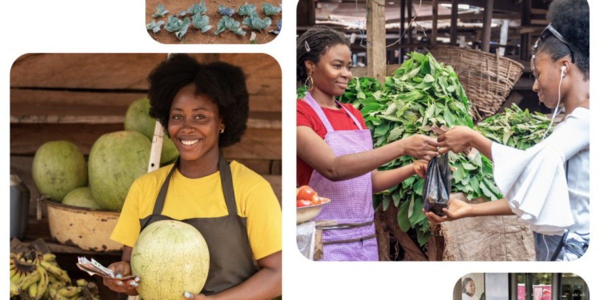 Microfinance for Rural SA: Transforming Communities with Real Financial Power