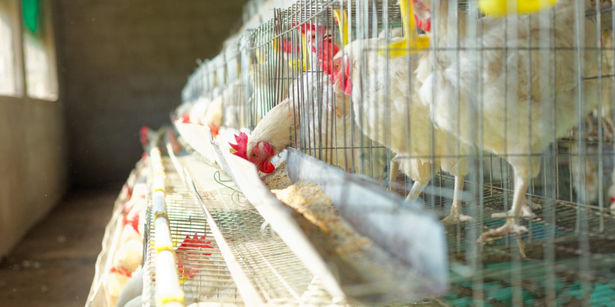 Zanele Mbeki: Inspiring Women to Build a Legacy of Power and Purpose