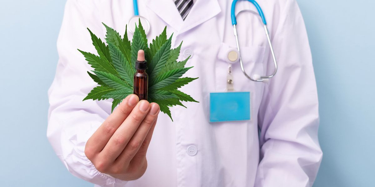 Cannabis News New York Regulation Update Meets California Medical Cannabis News Industry Trends