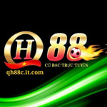 QH88 Nhà Cái Uy Tín