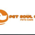 petsoulcare21