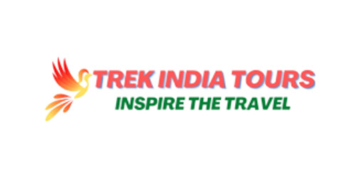 India Tour Packages from Delhi by Trek India Tour – Explore the Best of India’s Culture, Heritage, and Natural Beauty
