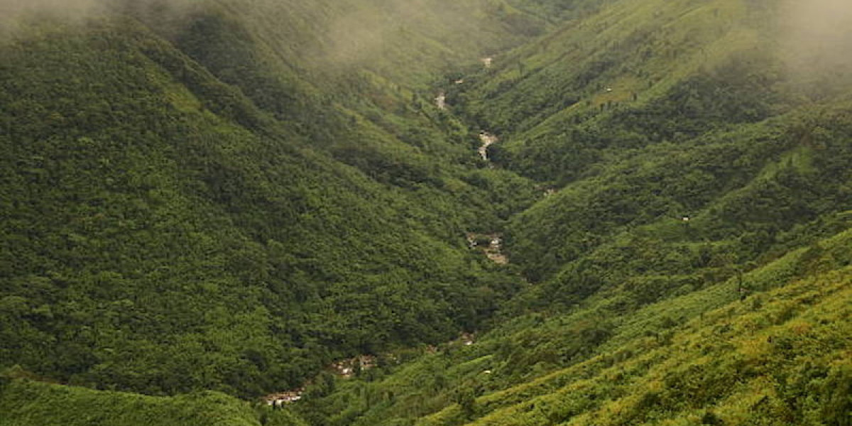 Top Reasons Why Meghalaya Should Be Your Next Holiday Destination