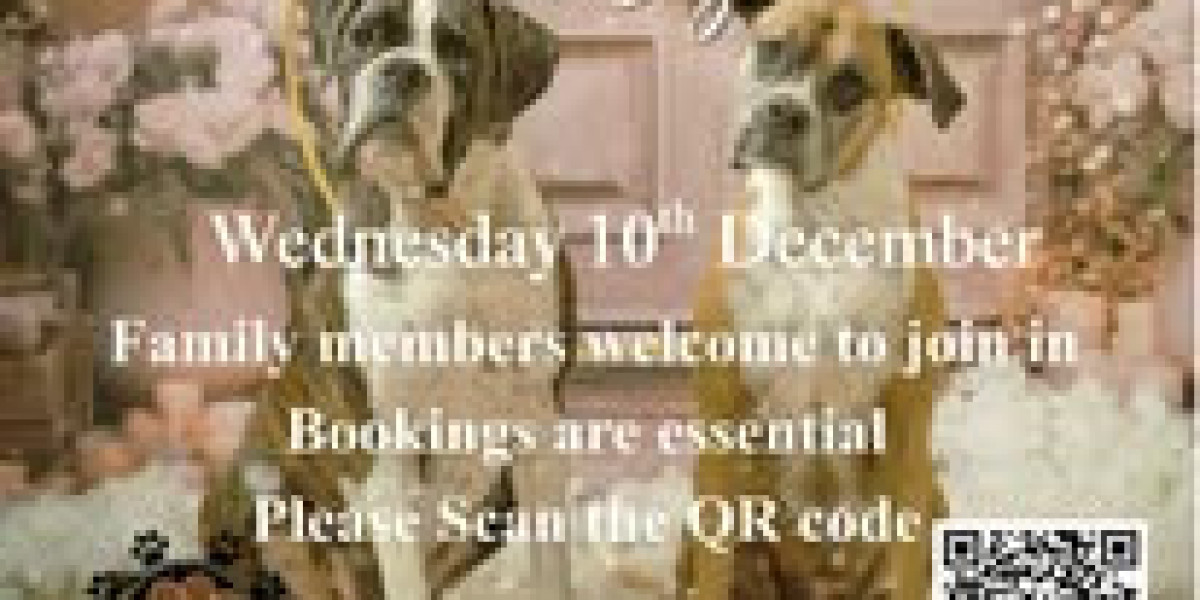 Luxury Dog Boarding in Brisbane: Premium Stay for Beloved Pets