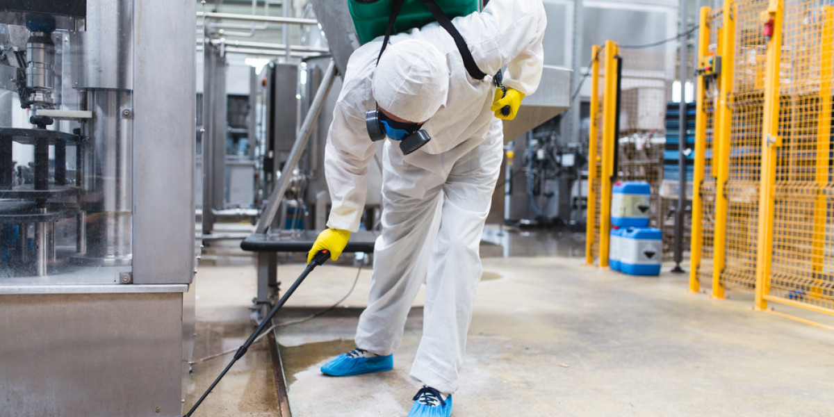 Comprehensive Guide to Achieving Effective Pest Control Every Time