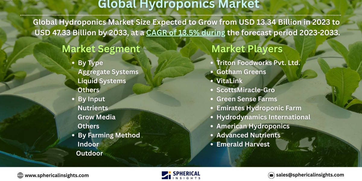 How Hydroponics Is Transforming Agriculture: Global Market Breakdown.